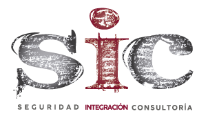 Seguridad Integracin Consultora